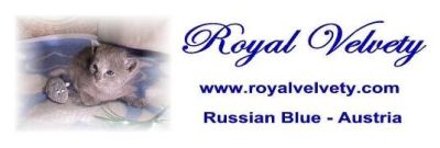 Banner Royal Velvet